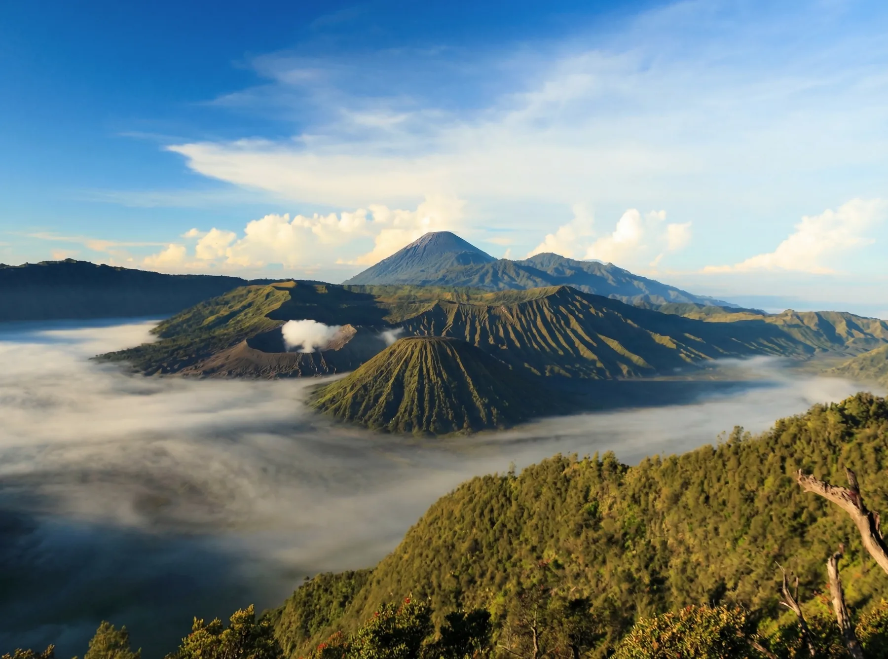 インドネシアの風景